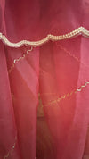 Blush Bloom Pre-Draped Saree