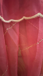 Blush Bloom Pre-Draped Saree