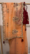 Peach Accents - Pre-draped Saree