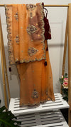 Peach Accents - Pre-draped Saree