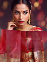 Cherry Flame party wear pre-draped saree – perfect for weddings and events in NZ