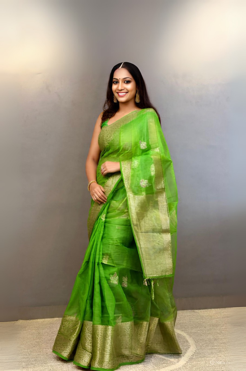Royal Radiance soft organza ready to wear saree – modern pre-draped saree NZ