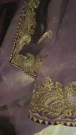 royal-radiance-easy-wear-organza-saree-nz